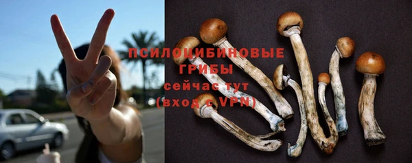 прущий лед Алексеевка