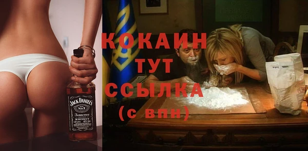 ПСИЛОЦИБИНОВЫЕ ГРИБЫ Заволжье