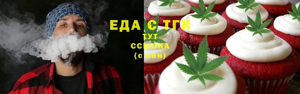 PSILOCYBIN Вяземский