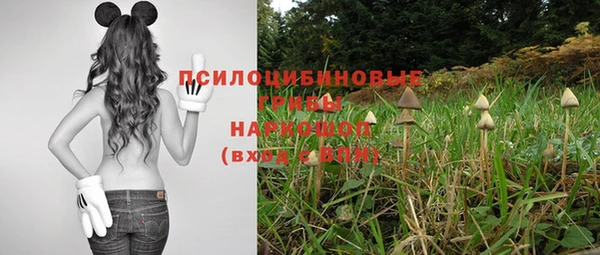 apvp Алзамай
