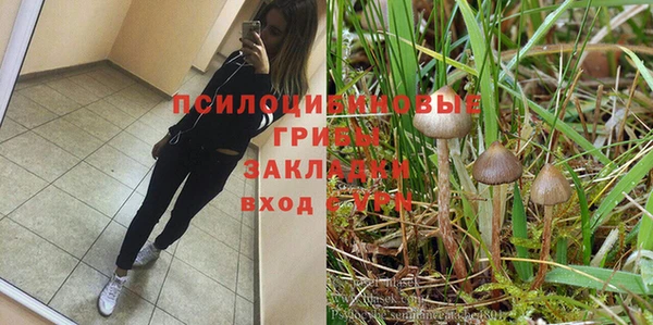 дживик Алексин