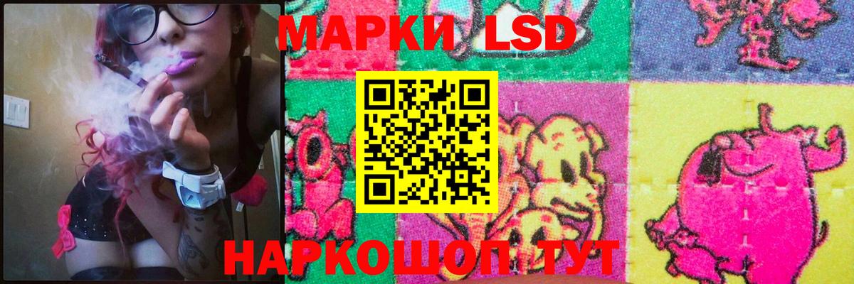 Конопля Павлово