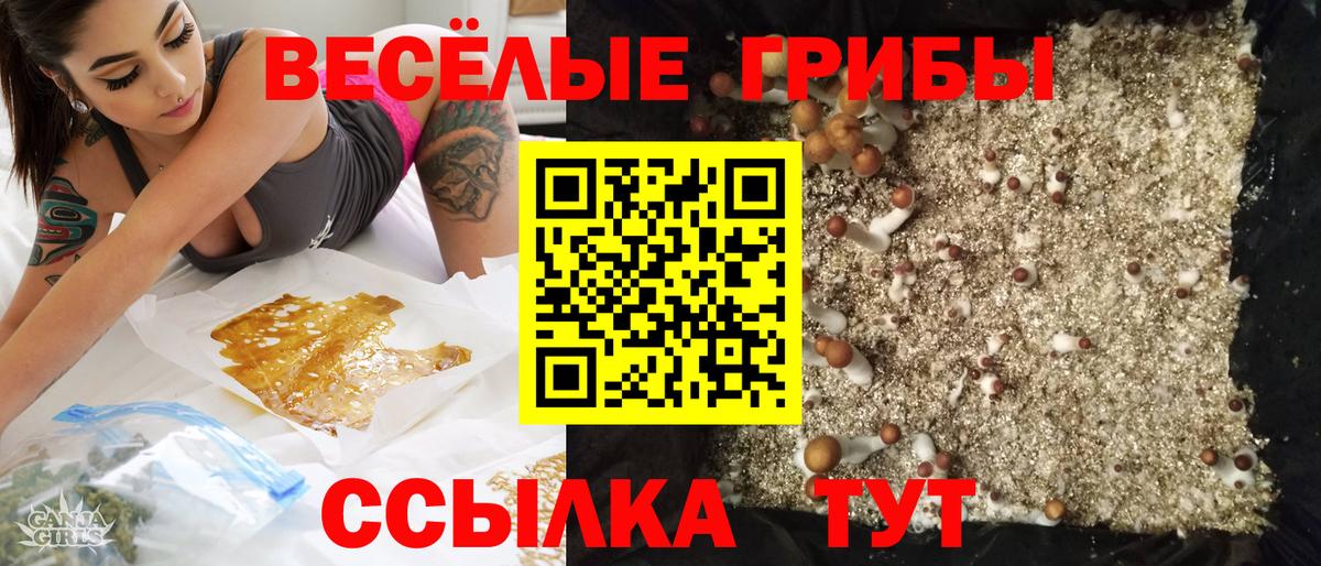 Павлово  Псилоцибиновые грибы мицелий  Вход с VPN  Галлюциногенные грибы MAGIC MUSHROOMS 